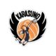 karasuno_comicsense.jpg Karasuno Sticker